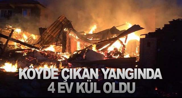 KÖYDE ÇIKAN YANGINDA 4 EV KÜL OLDU