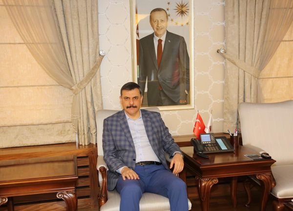 YALAN HABER