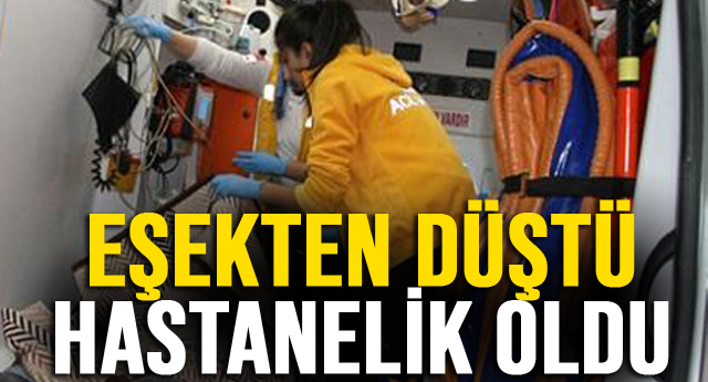 EŞEKTEN DÜŞTÜ HASTANELİK OLDU