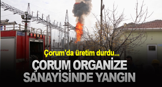 ÇORUM ORGANİZE SANAYİSİNDE YANGIN